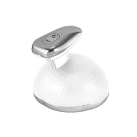 Handheld EMS Micro Current Massage Beauty Instrument (Option: White silver-USB)